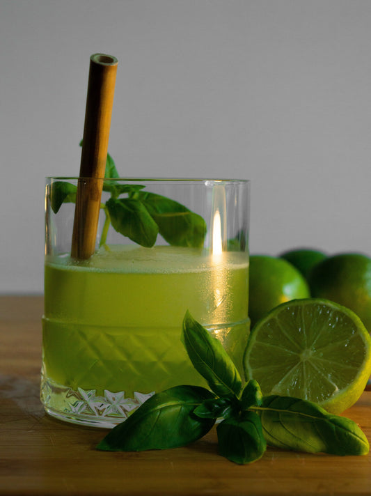 Post Antibiotics Gut Healing