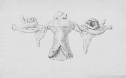 Endometriosis and The Gut